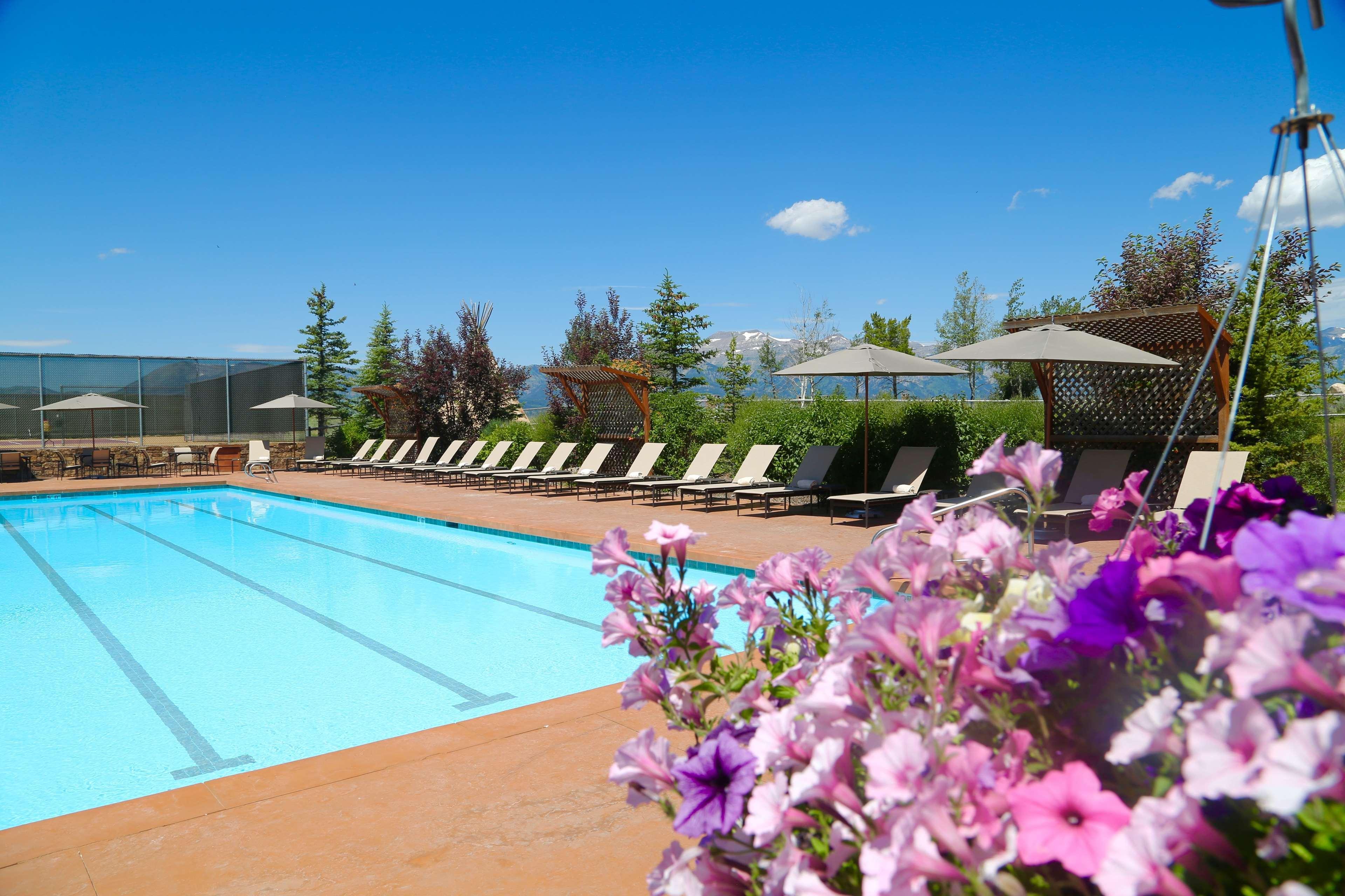 Spring Creek Ranch Otel Jackson Dış mekan fotoğraf